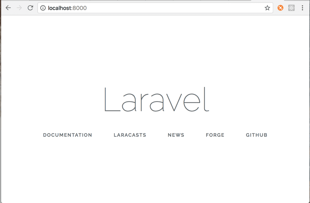 Default Laravel project